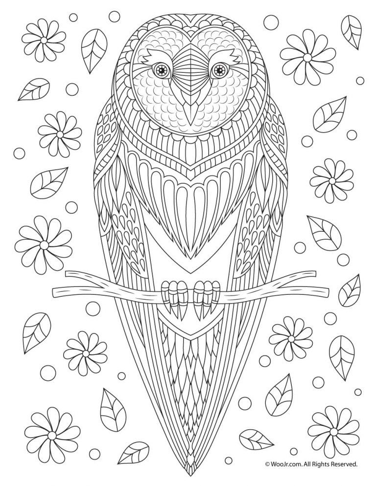 32 Owl Coloring Pages for Adults Printable 15