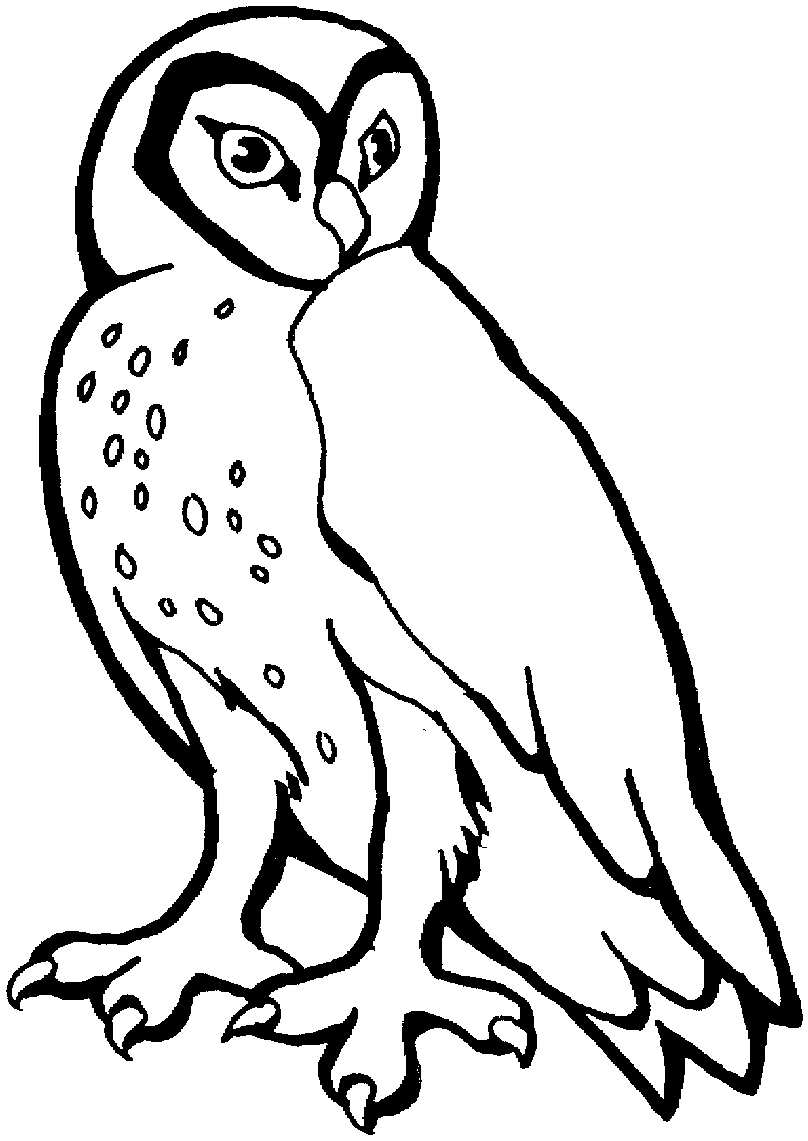 32 Owl Coloring Pages for Adults Printable 16