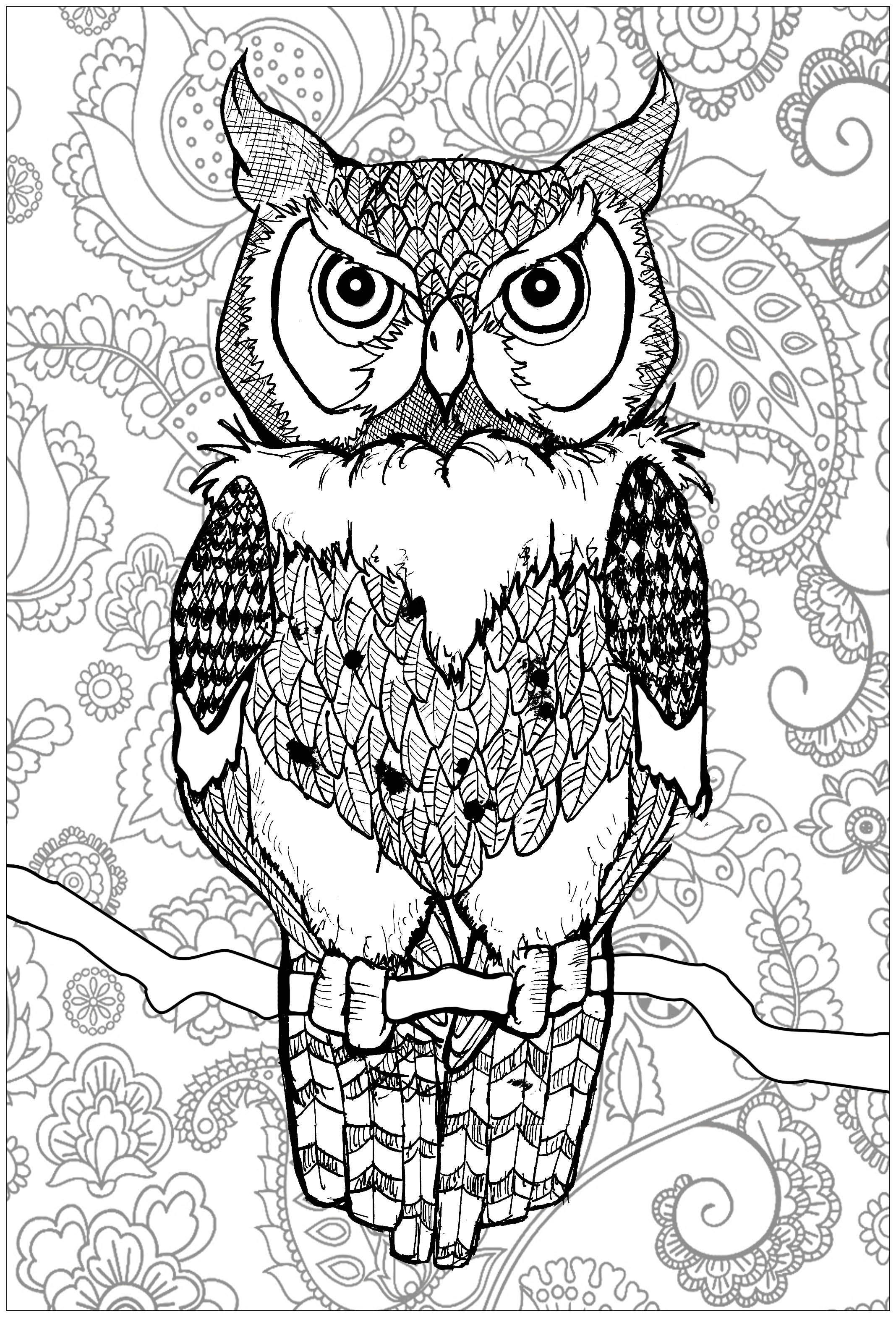 owl coloring pages for adults printable jpg