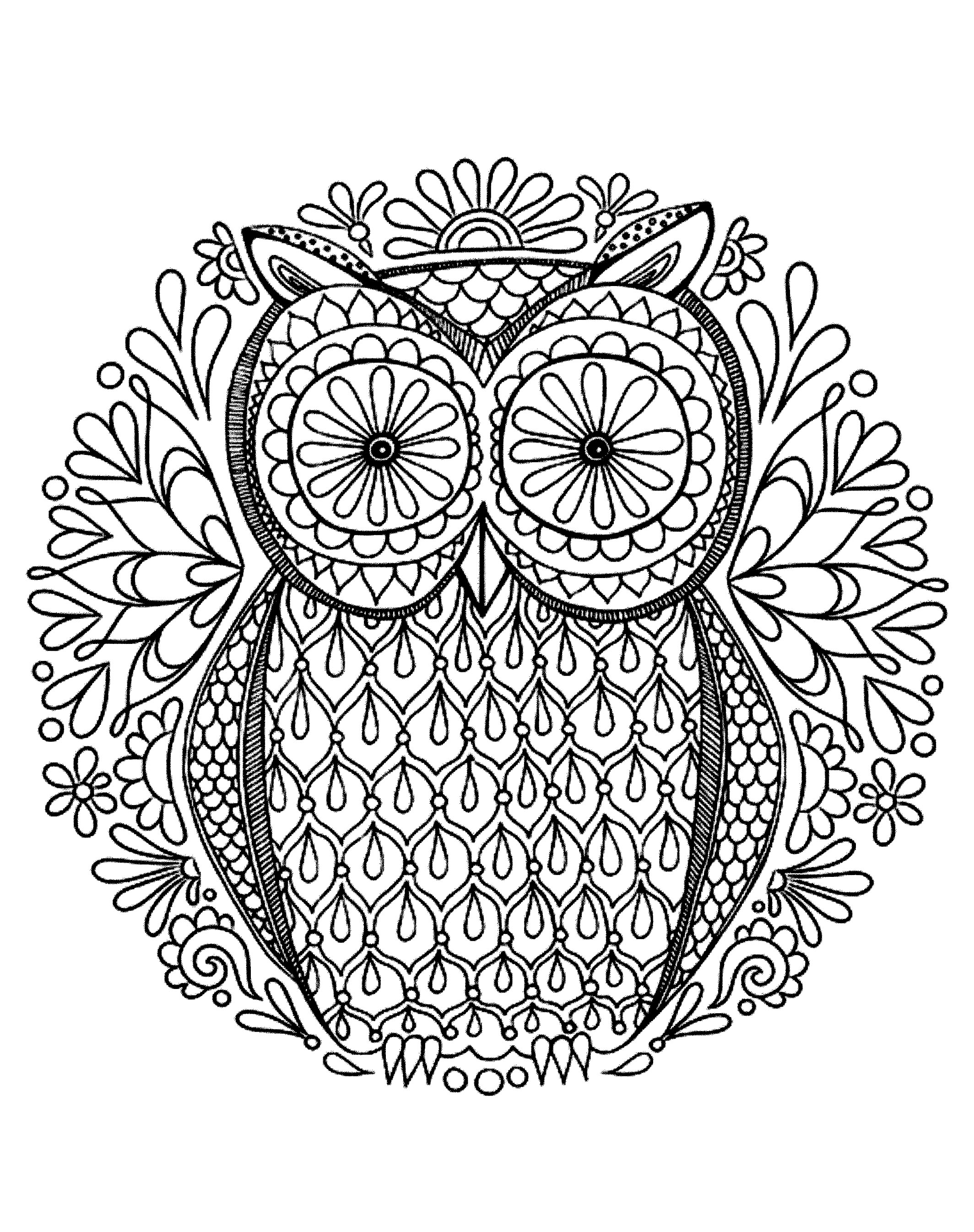 owl coloring pages for adults printable jpg