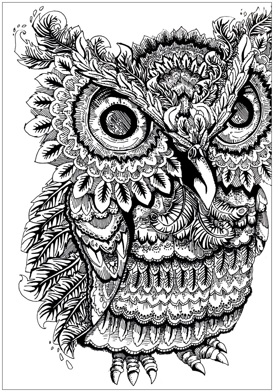 32 Owl Coloring Pages for Adults Printable 3