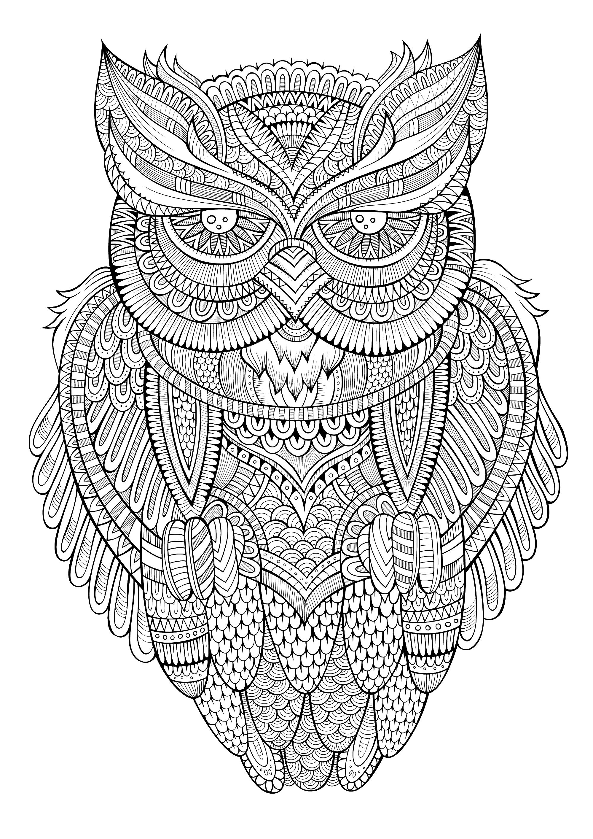 owl coloring pages for adults printable jpg