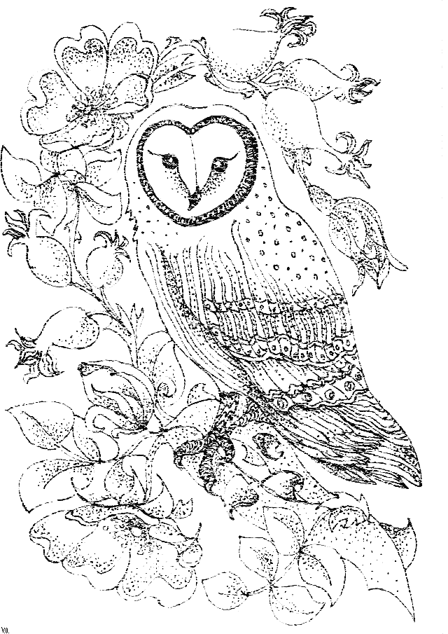 32 Owl Coloring Pages for Adults Printable 33