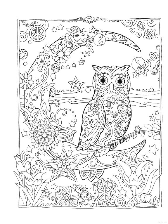 owl coloring pages for adults printable jpg