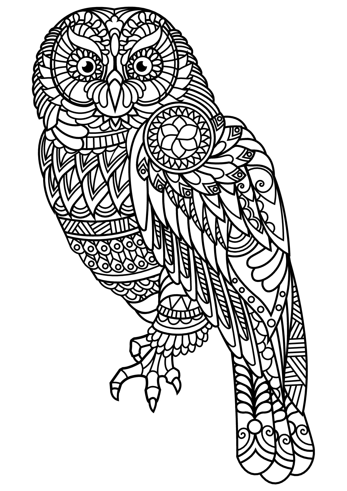 32 Owl Coloring Pages for Adults Printable 4