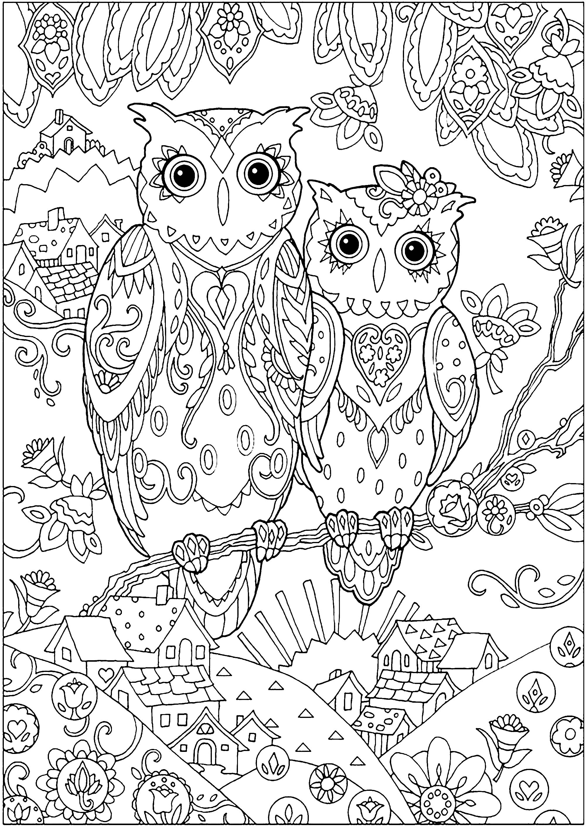 owl coloring pages for adults printable jpg