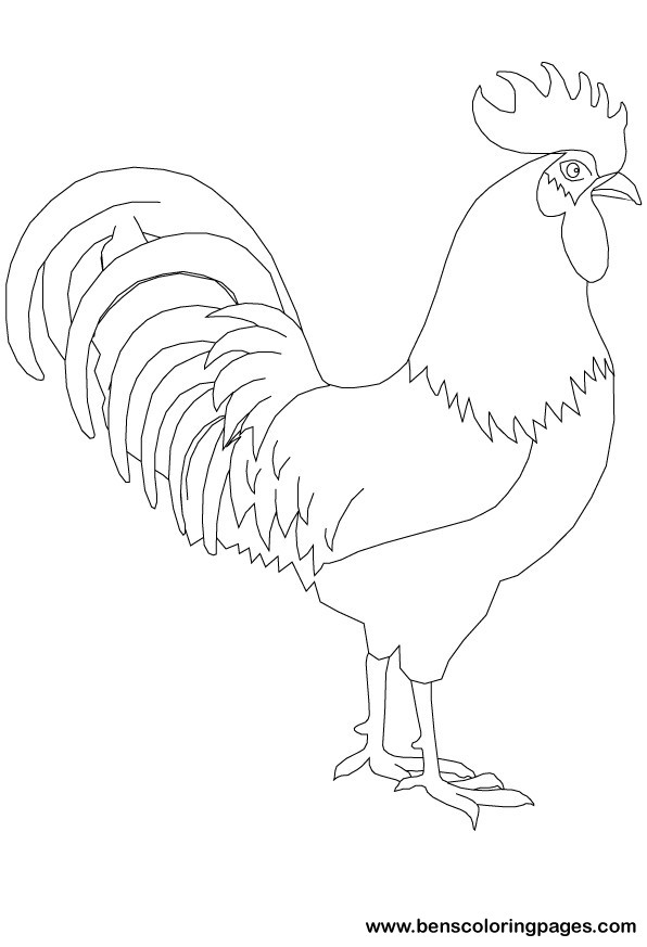 rooster coloring pages printable jpg