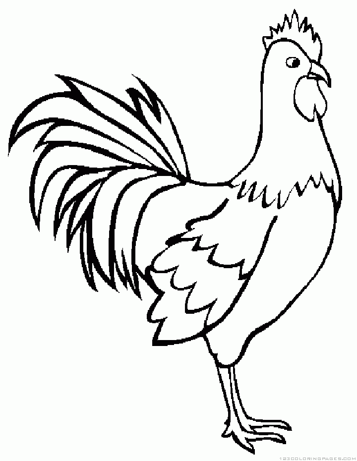 rooster coloring pages printable jpg