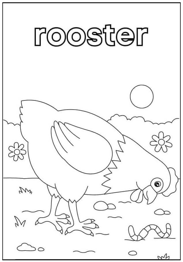 rooster coloring pages printable jpg