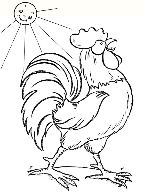 32 Rooster Coloring Pages Printable 19