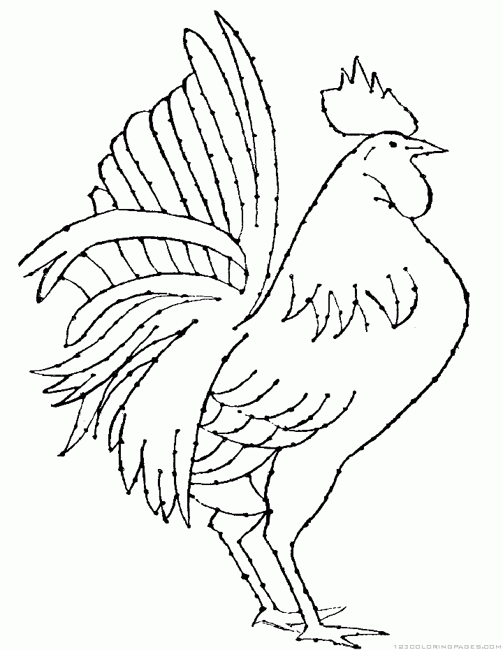 rooster coloring pages printable jpg