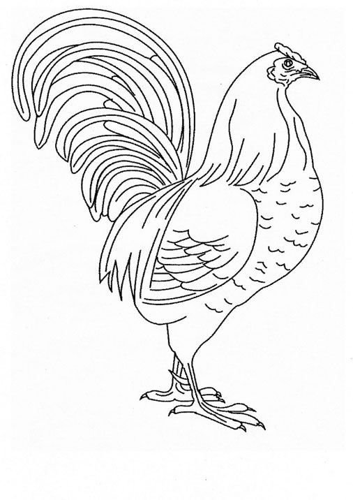 32 Rooster Coloring Pages Printable 22