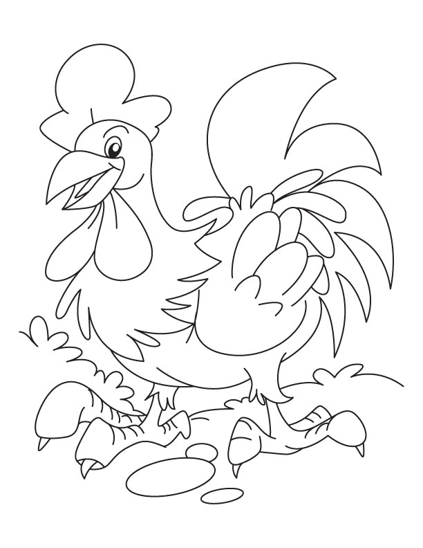 32 Rooster Coloring Pages Printable 23