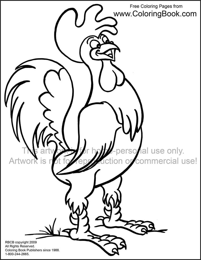 rooster coloring pages printable jpg