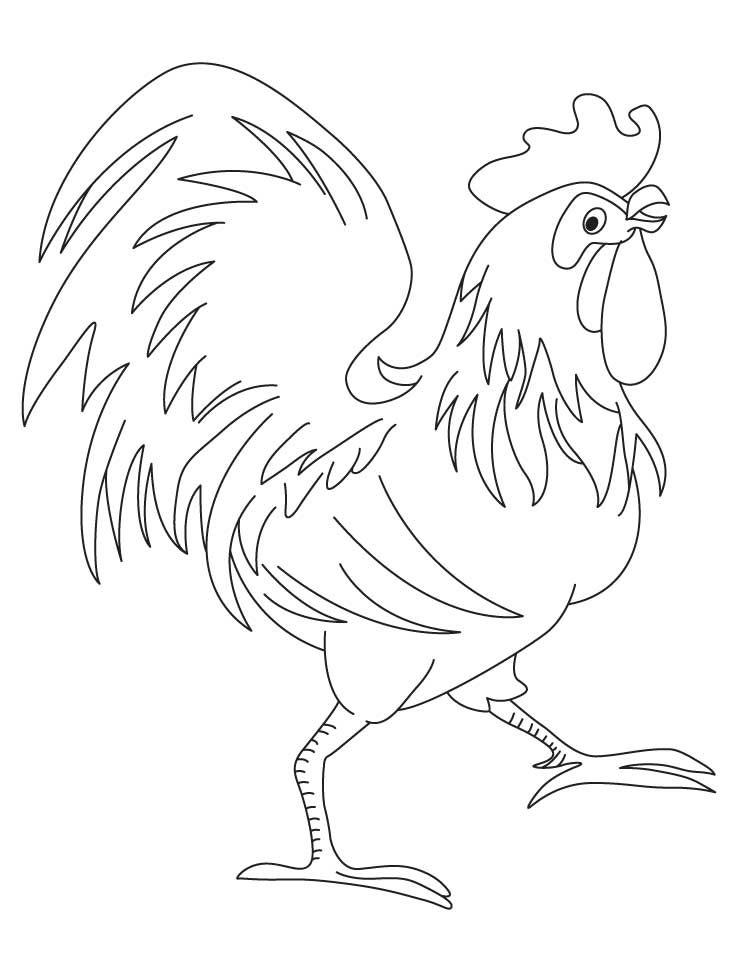 32 Rooster Coloring Pages Printable 27