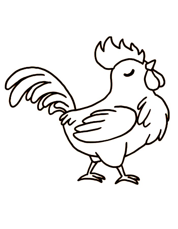 32 Rooster Coloring Pages Printable 3