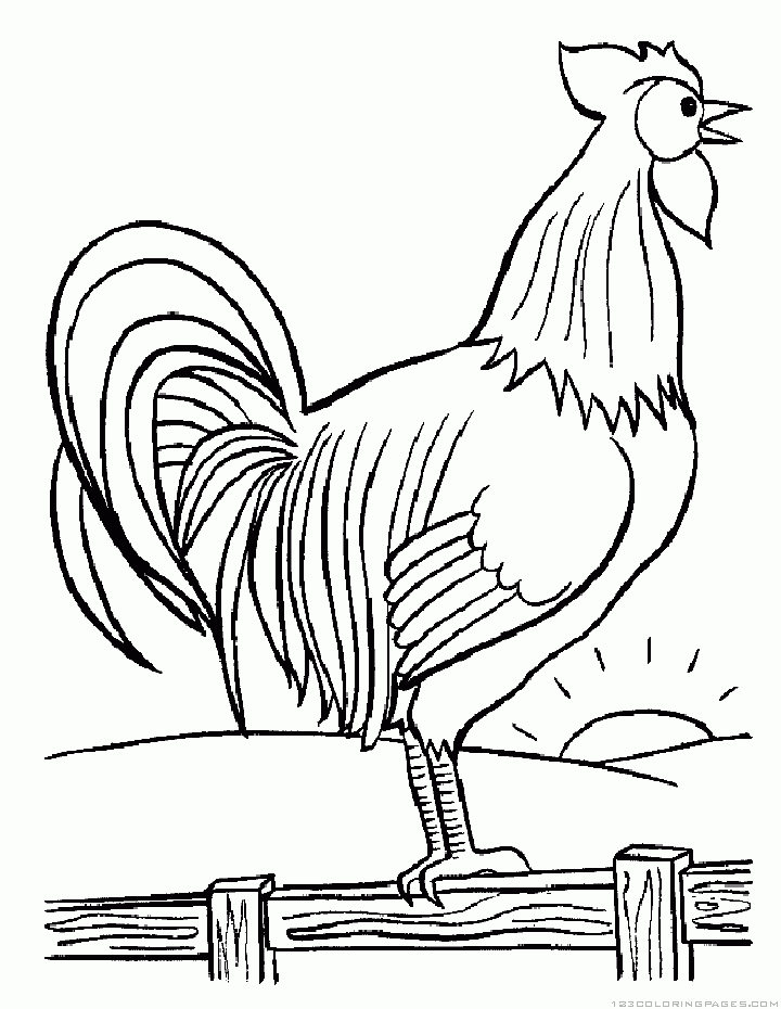 32 Rooster Coloring Pages Printable 32