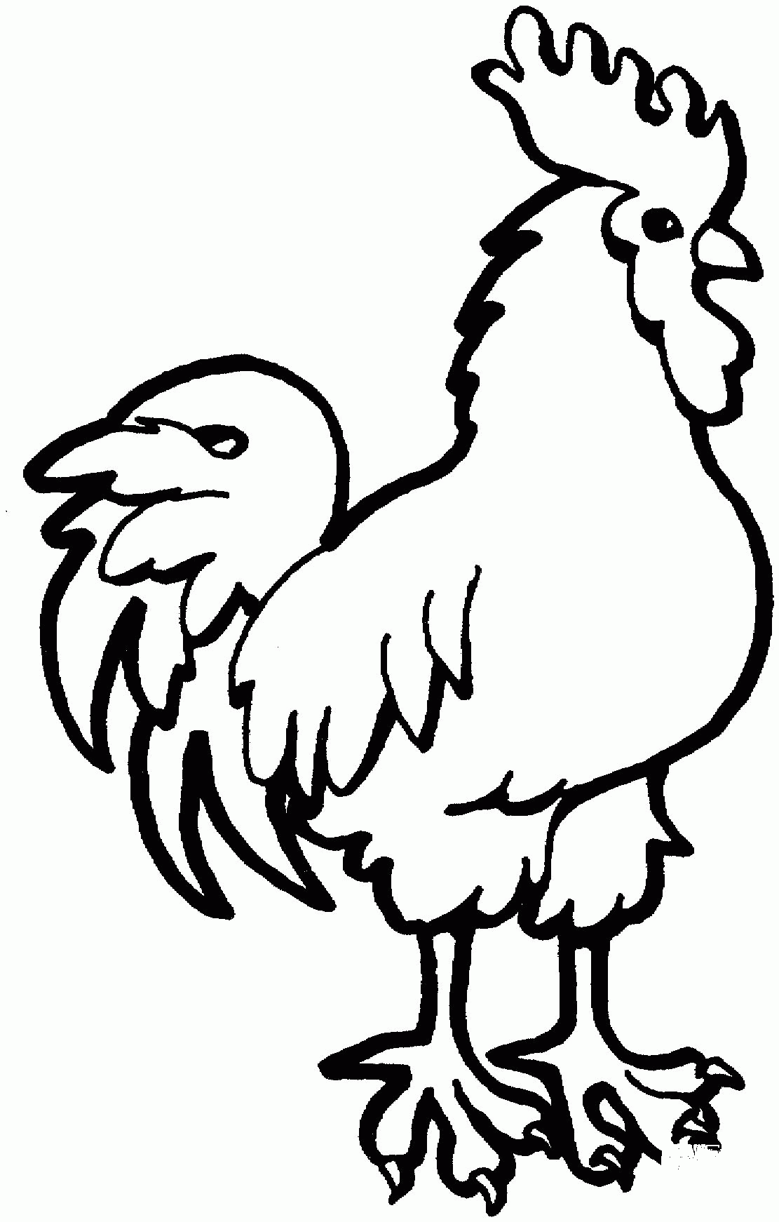 32 Rooster Coloring Pages Printable 5