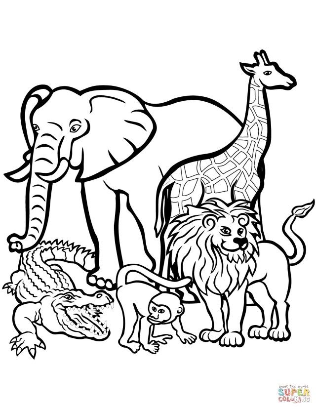 32 Zoo Coloring Pages for Kids Printable 10