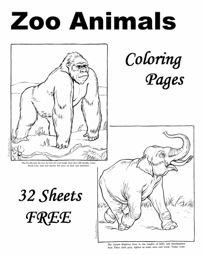 32 Zoo Coloring Pages for Kids Printable 12