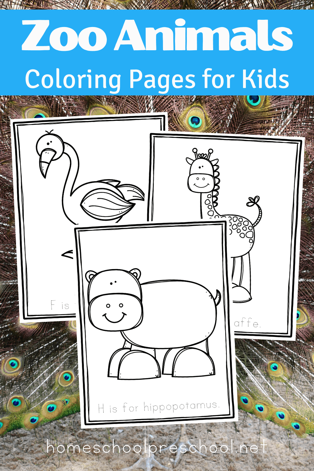 32 Zoo Coloring Pages for Kids Printable 14