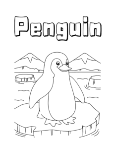 zoo coloring pages for kids printable jpg