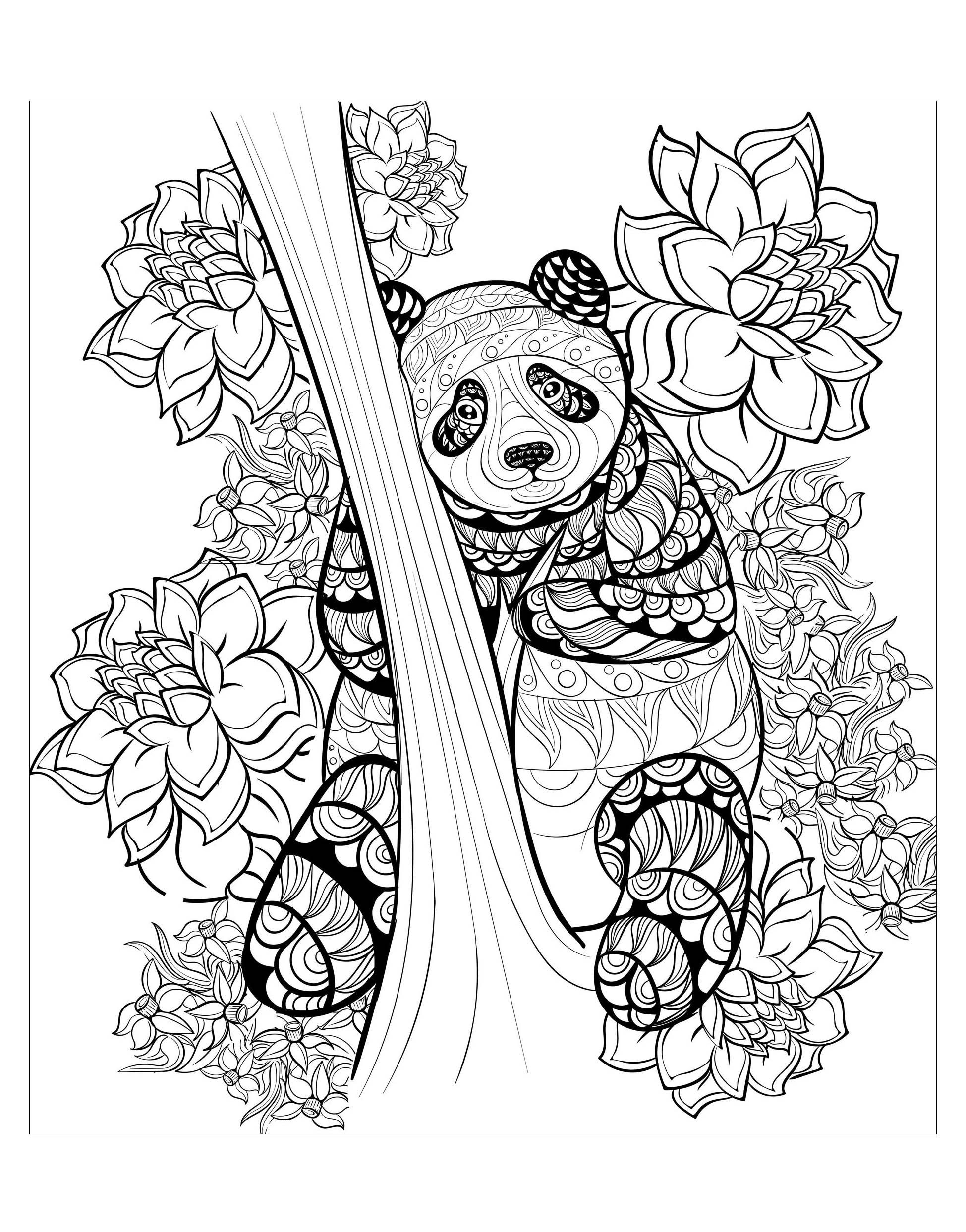 red panda coloring turning red coloring pages printable jpg