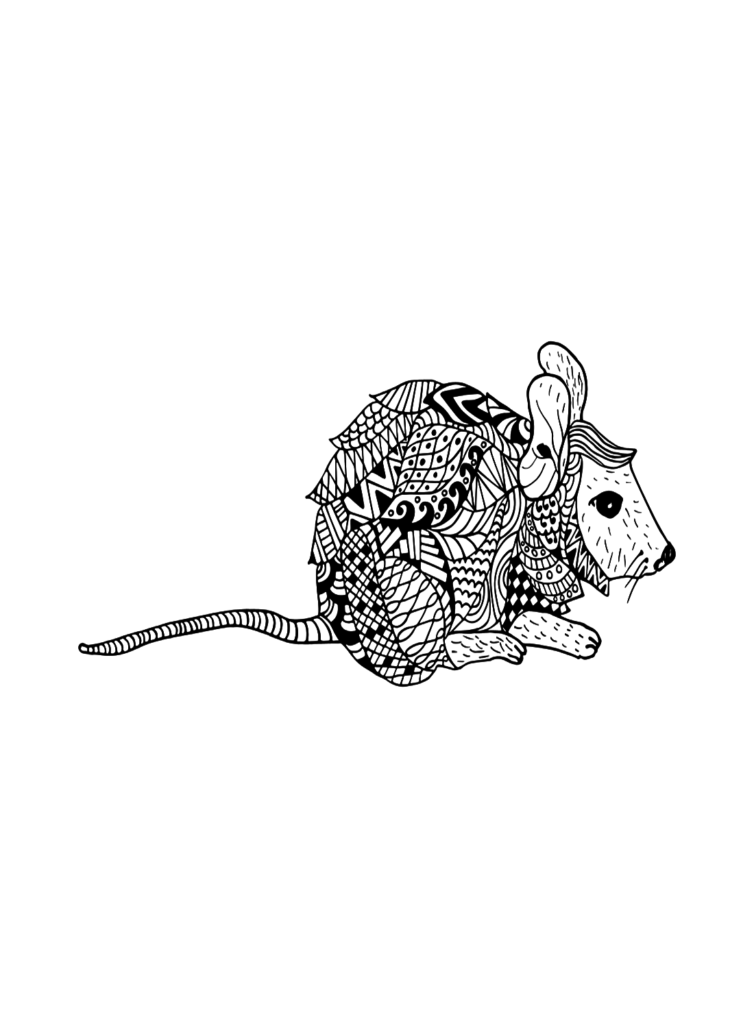 soft chinchilla coloring page printable jpg