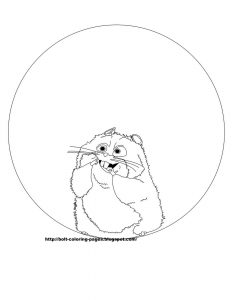 33 Soft Chinchilla Coloring Page Printable 13