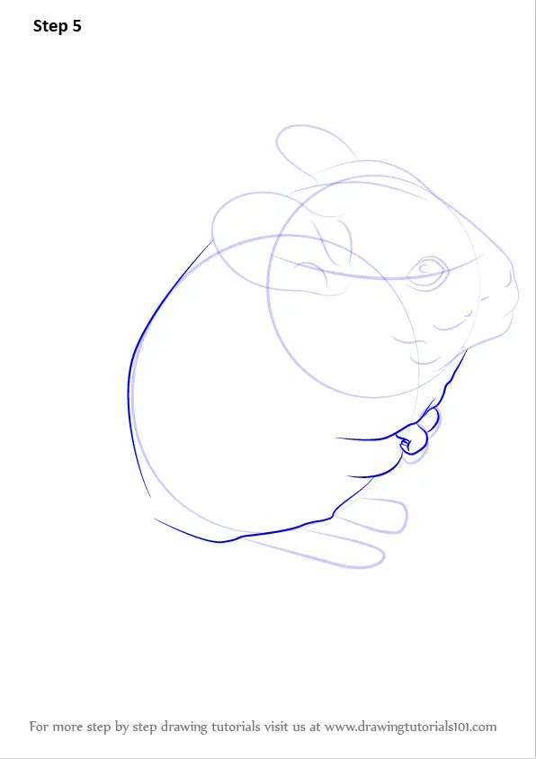 33 Soft Chinchilla Coloring Page Printable 18