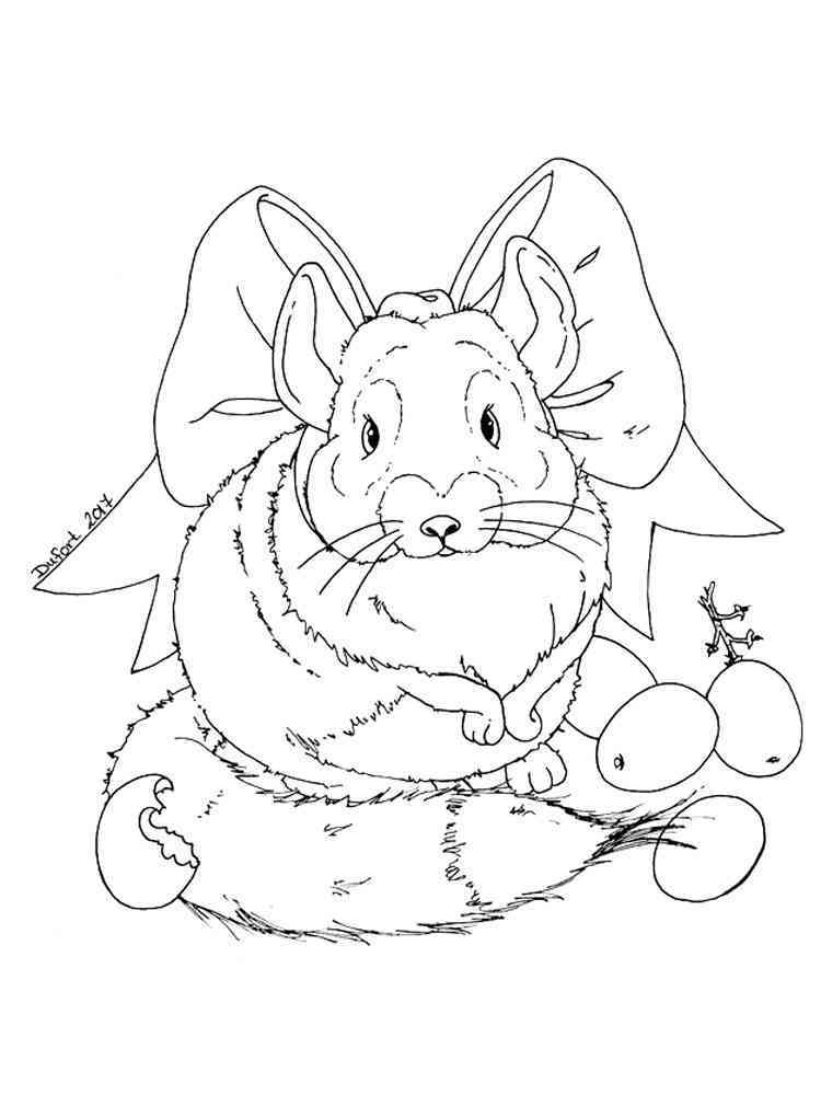 soft chinchilla coloring page printable jpg