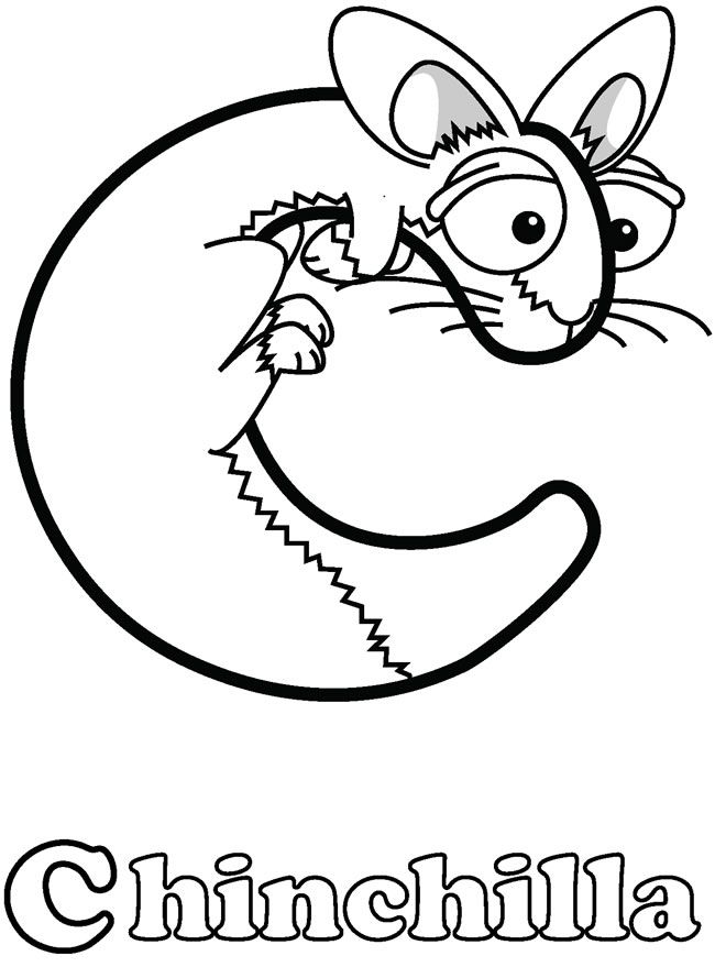 33 Soft Chinchilla Coloring Page Printable 31