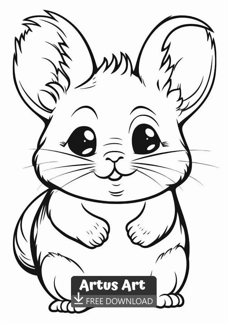 33 Soft Chinchilla Coloring Page Printable 8