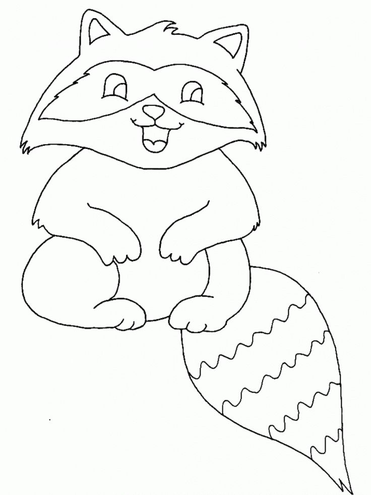 adorable nocturnal animals coloring pages printable jpg