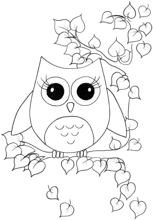 adorable nocturnal animals coloring pages printable jpg