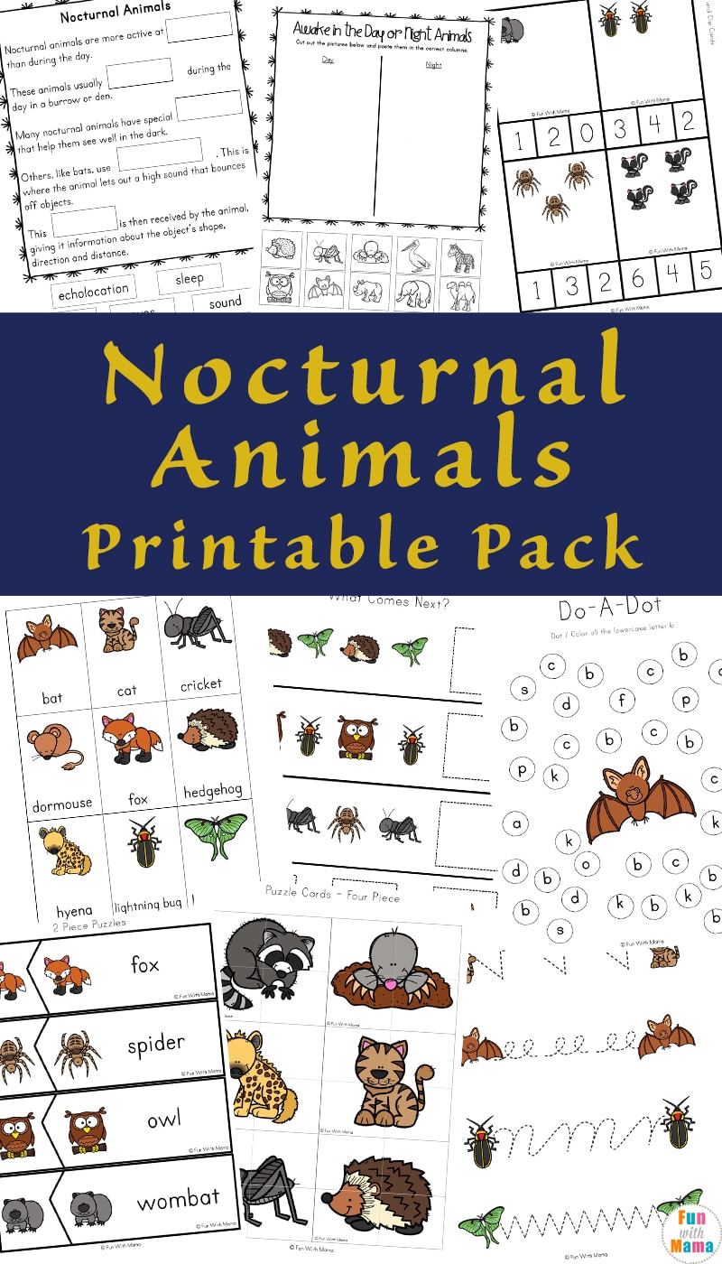 34 Adorable Nocturnal Animals Coloring Pages Printable 13