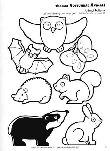 34 Adorable Nocturnal Animals Coloring Pages Printable 14