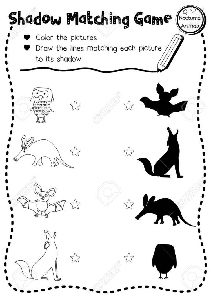 34 Adorable Nocturnal Animals Coloring Pages Printable 15