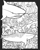 34 Adorable Nocturnal Animals Coloring Pages Printable 17