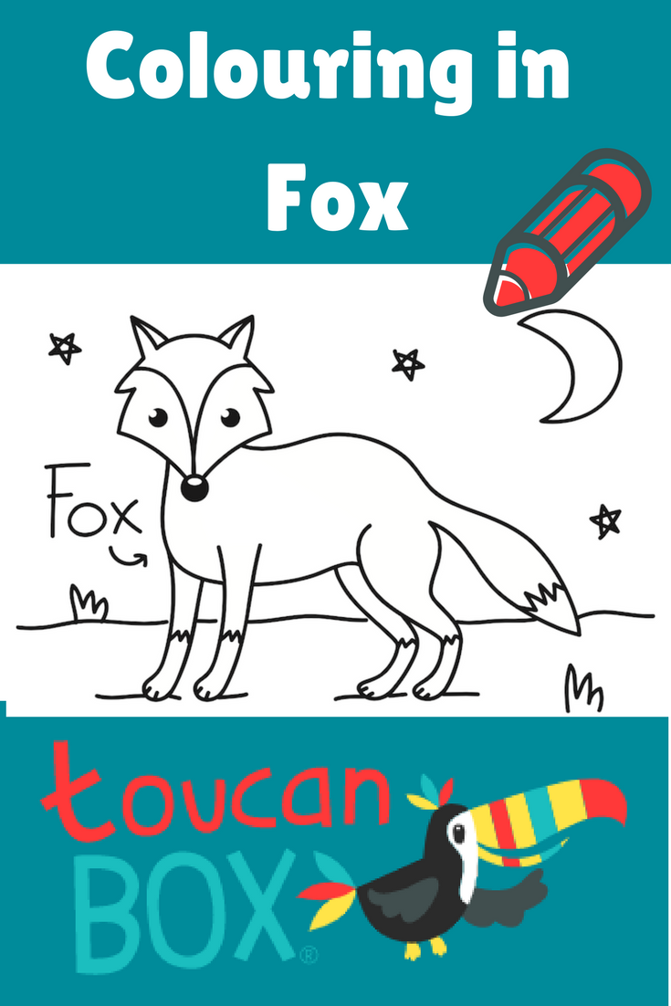 adorable nocturnal animals coloring pages printable jpg