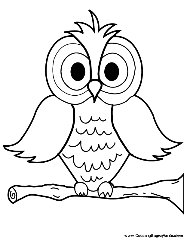 adorable nocturnal animals coloring pages printable jpg