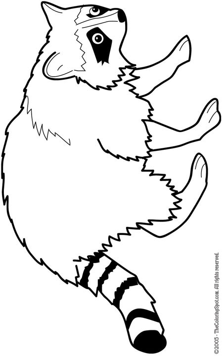 adorable nocturnal animals coloring pages printable jpg