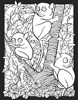 adorable nocturnal animals coloring pages printable jpg