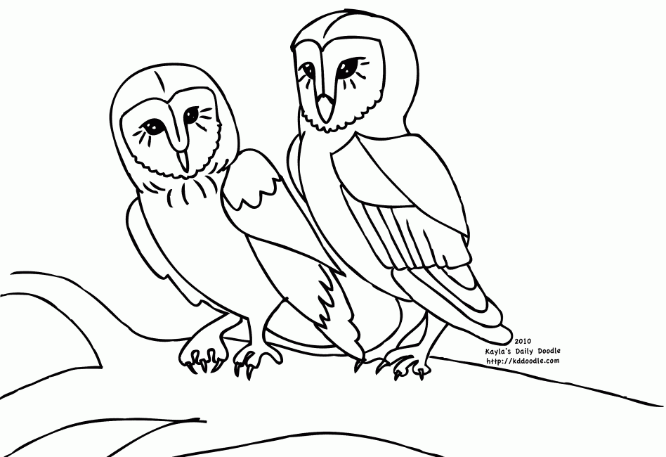 34 Adorable Nocturnal Animals Coloring Pages Printable 6