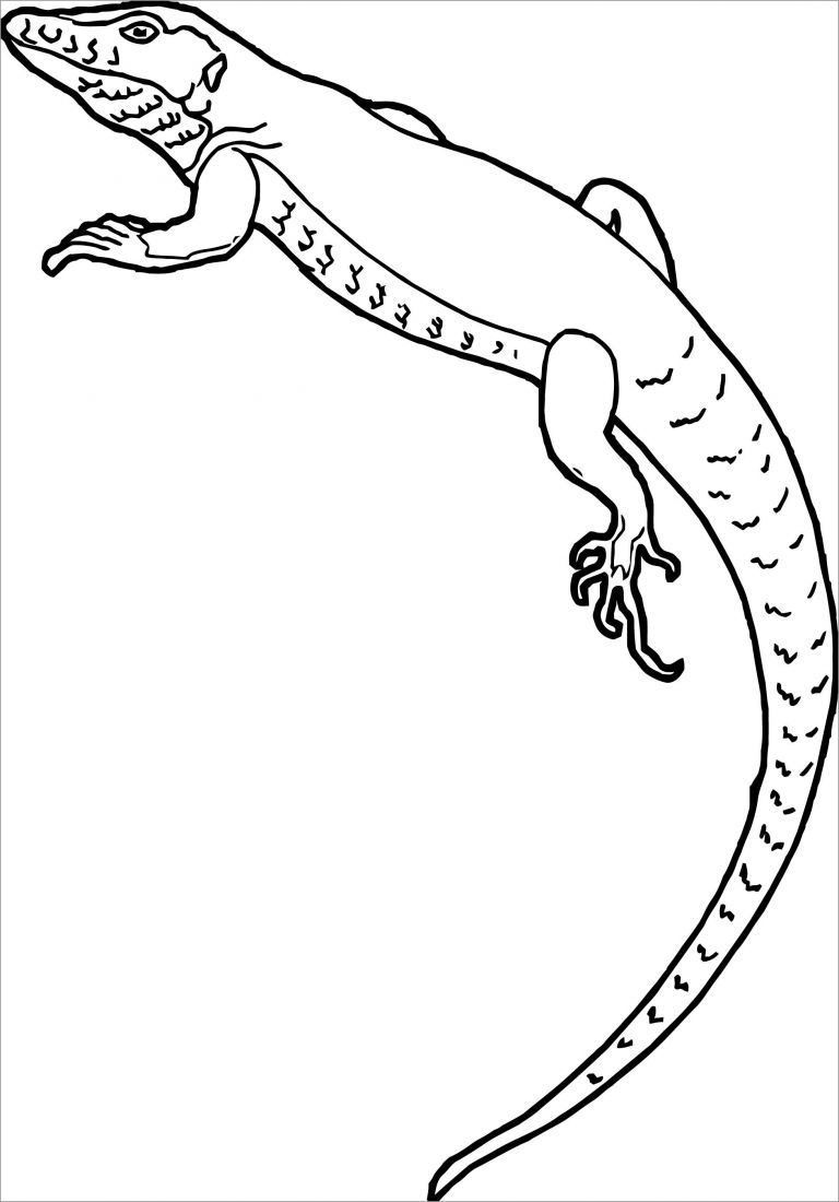 curious bearded dragon coloring page printable jpg