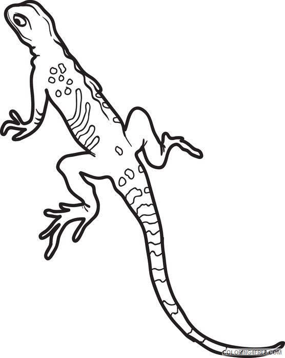 curious bearded dragon coloring page printable jpg