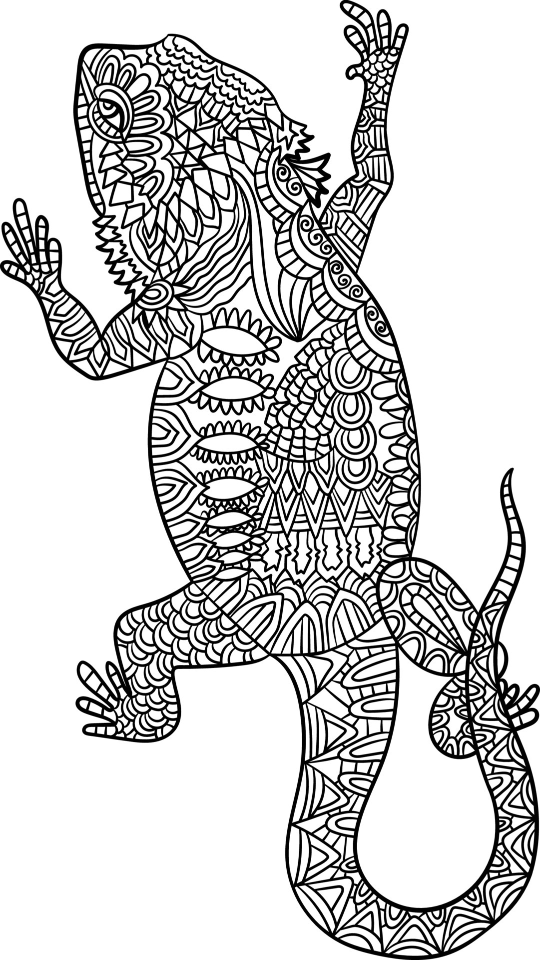 curious bearded dragon coloring page printable jpg