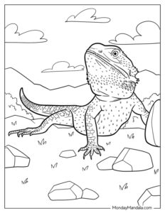 curious bearded dragon coloring page printable jpg