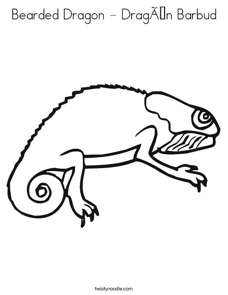 curious bearded dragon coloring page printable jpg