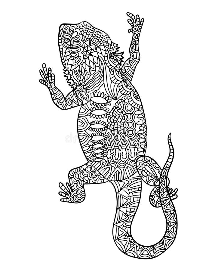 curious bearded dragon coloring page printable jpg